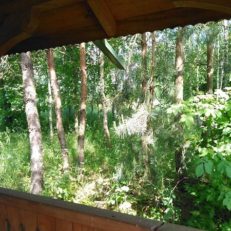 Noclegi Przy Kominku Miedzyles  Pokoj fotografie