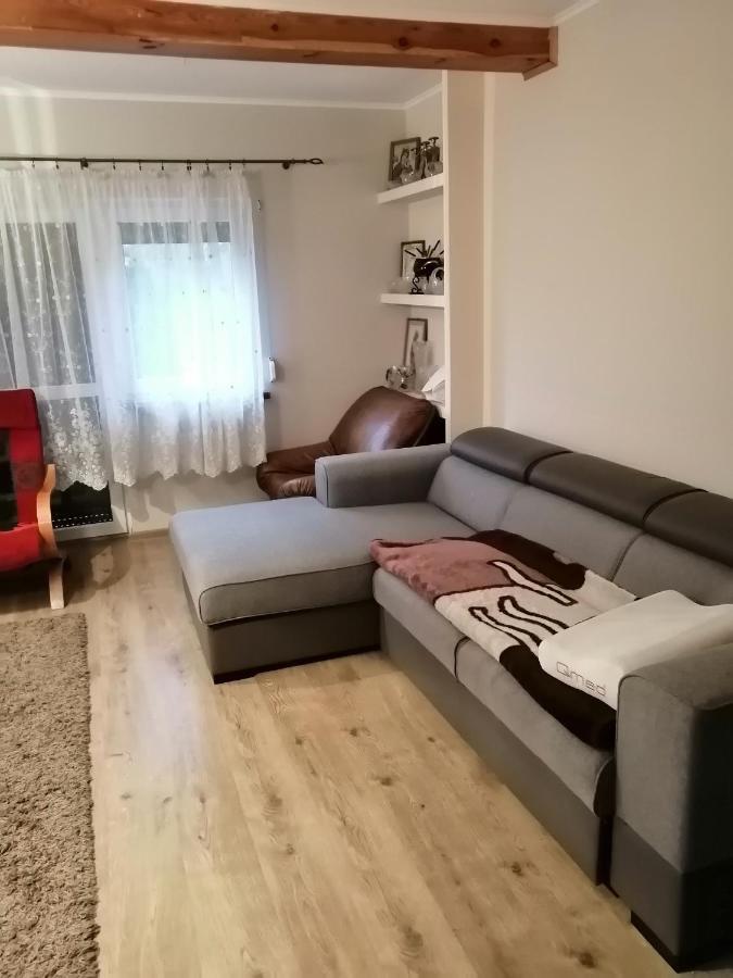 Noclegi Przy Kominku Miedzyles  Exteriér fotografie