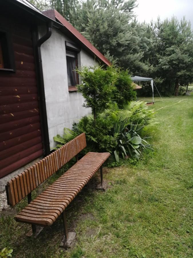 Noclegi Przy Kominku Miedzyles  Exteriér fotografie